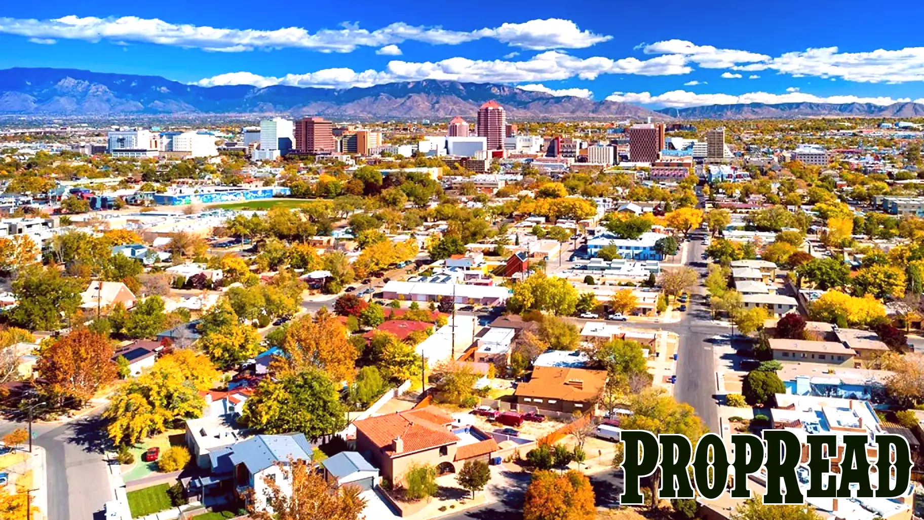 Cash Dominates Home Purchases in Albuquerque, NM