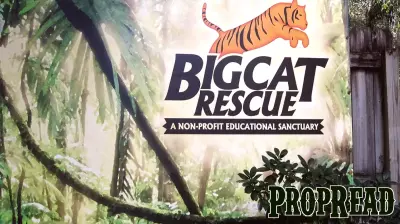 Big Cat Rescue Relocates Animals to New Facility in Arkansas