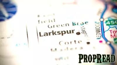 Recent Business Developments Across Sonoma, Solano, Napa, Marin, and Lake Counties